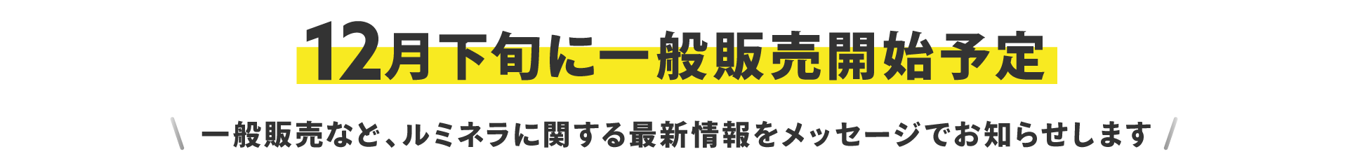 12月下旬に一般販売開始予定